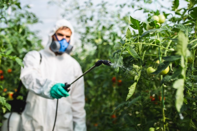 Pre Spraying Stages - The Pro Farmer