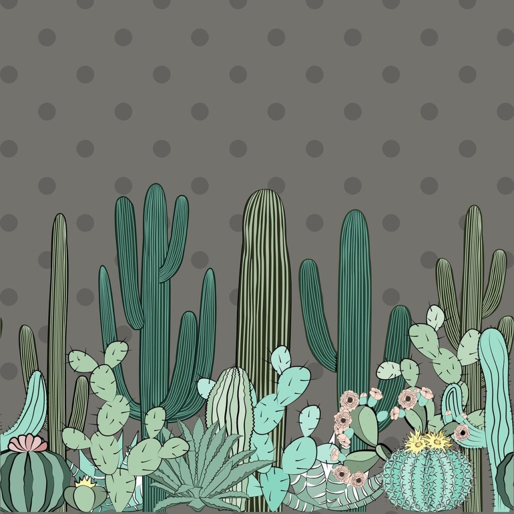 cactus, plant, green-5368688.jpg